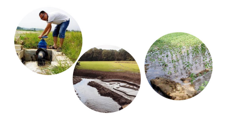 灌區灌溉 灌區灌溉