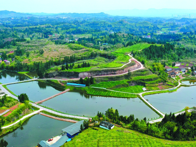 政策解讀丨2025中央一號文件中，涉及的水利內(nèi)容有哪些？