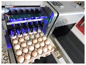 ɽ�|���a�C(j��)��˾��(ji��n)��